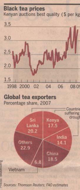 Quienes son los principales exportadores mundiales de Té