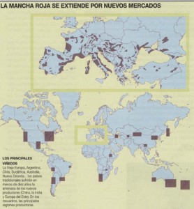 mapa-mundial-produccion-vino
